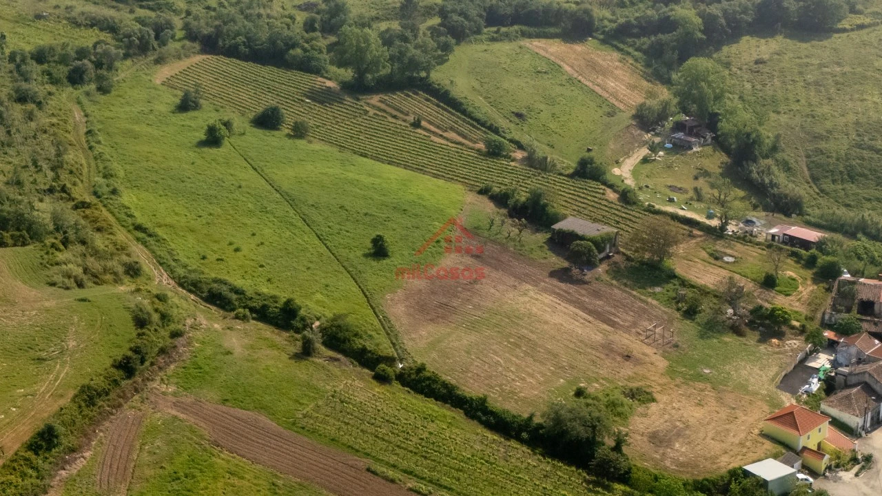 Terreno para Venda em Dois Portos e Runa Foto 3