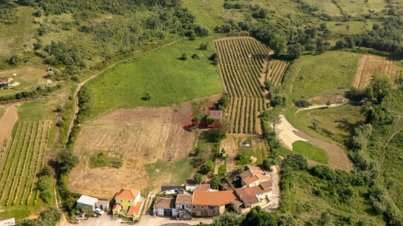 Terreno para Venda em Dois Portos e Runa Foto 2