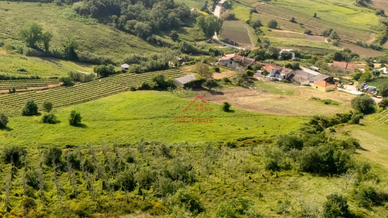 Terreno para Venda em Dois Portos e Runa Foto 5