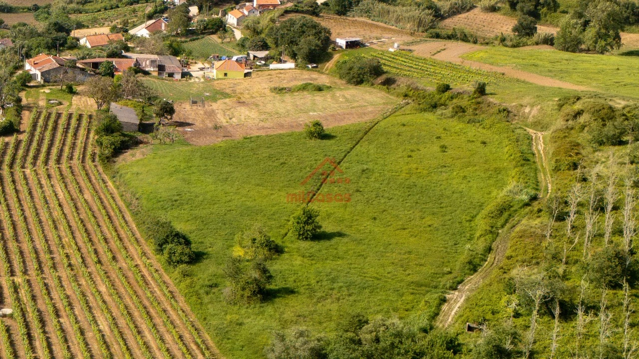 Terreno para Venda em Dois Portos e Runa Foto 7