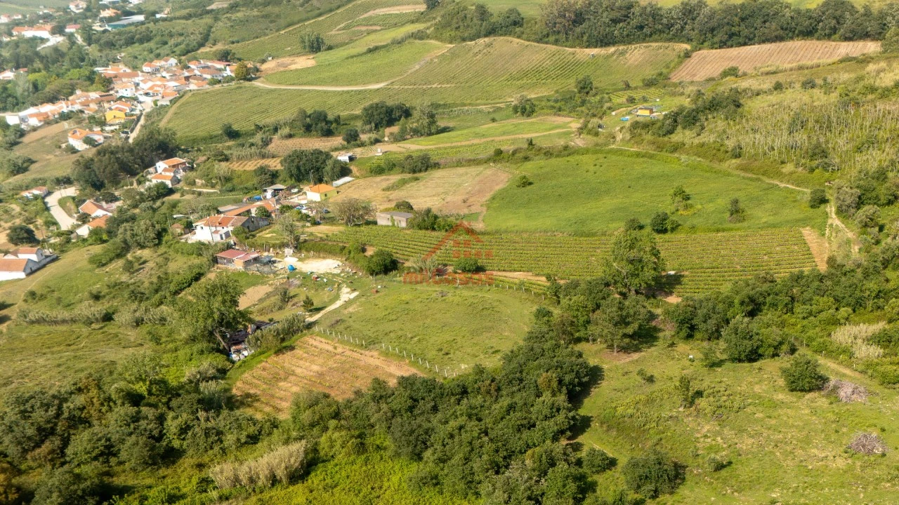 Terreno para Venda em Dois Portos e Runa Foto 9