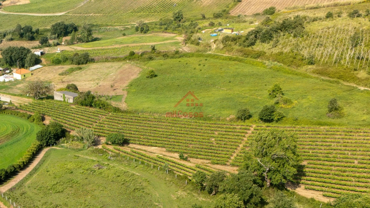 Terreno para Venda em Dois Portos e Runa Foto 10