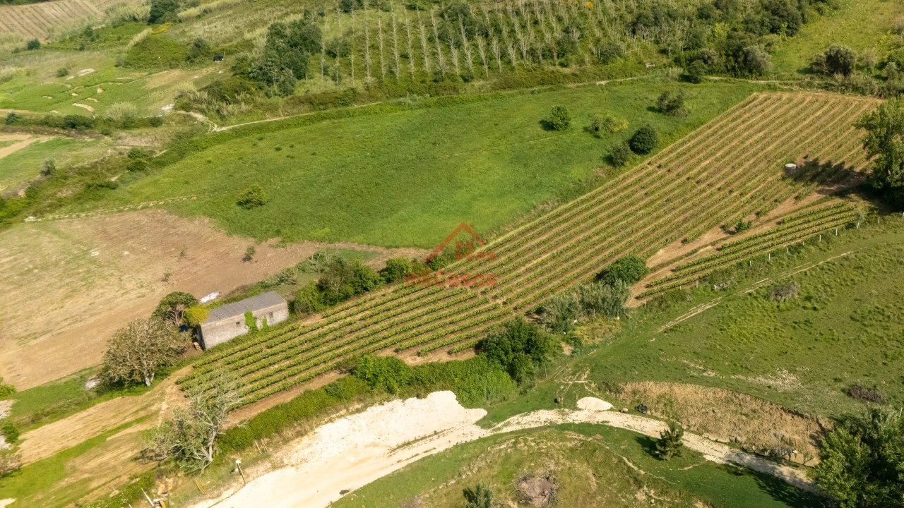 Terreno para Venda em Dois Portos e Runa Foto 11
