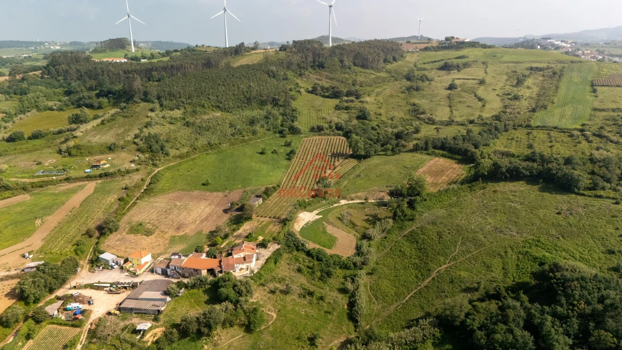 Terreno para Venda em Dois Portos e Runa Foto 13