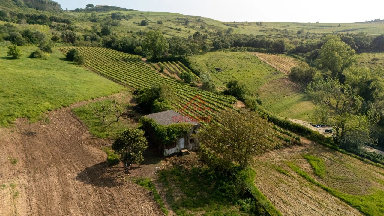 Terreno para Venda em Dois Portos e Runa Foto 15