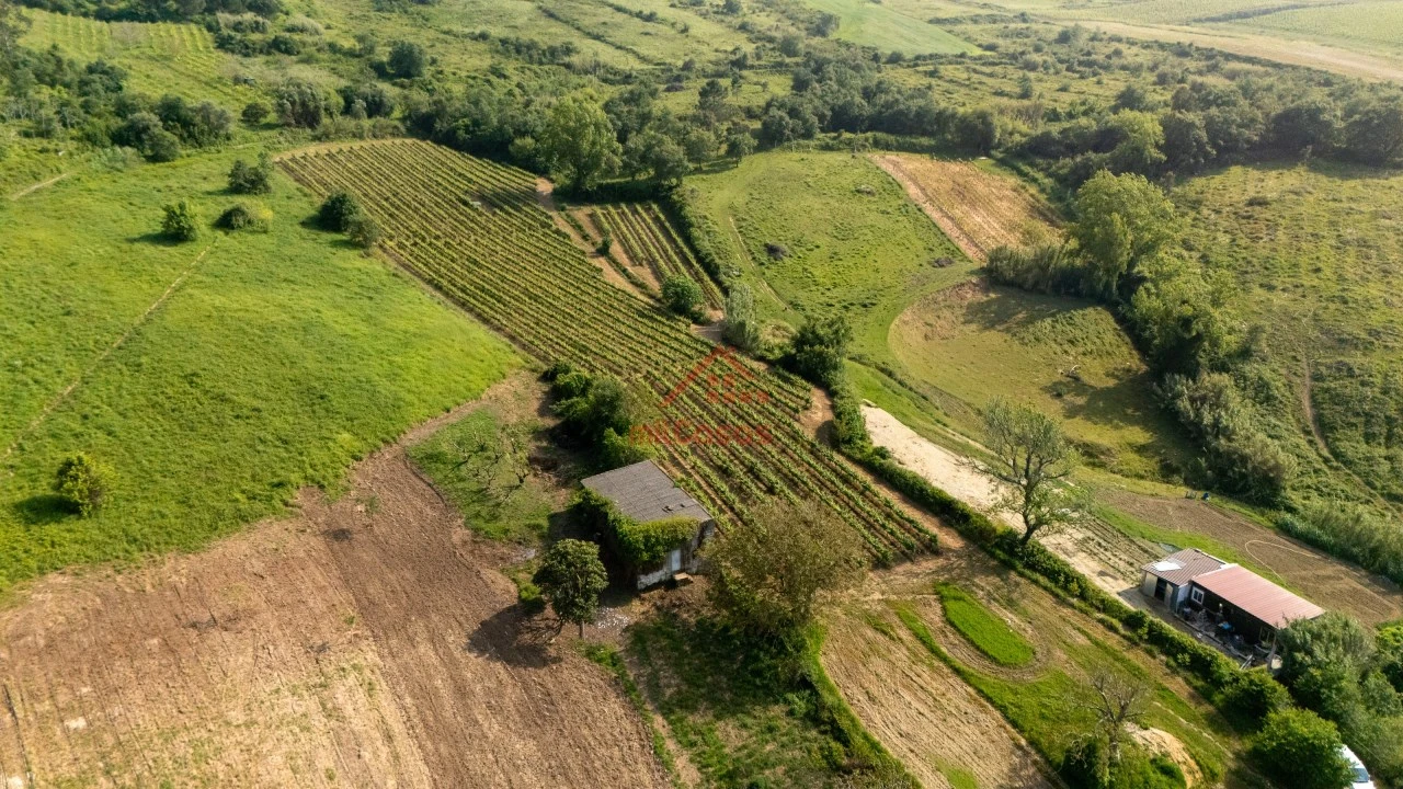 Terreno para Venda em Dois Portos e Runa Foto 16