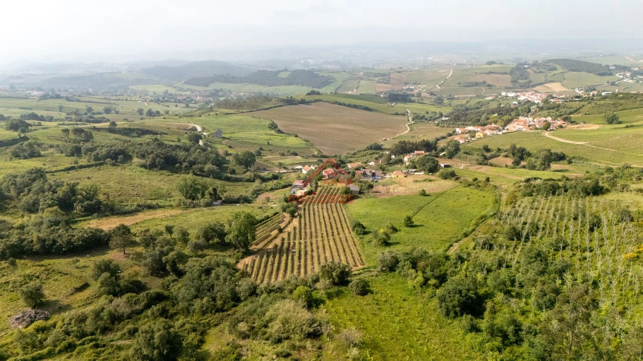 Terreno para Venda em Dois Portos e Runa Foto 17