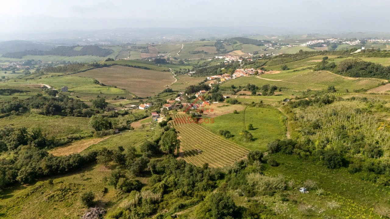 Terreno para Venda em Dois Portos e Runa Foto 18