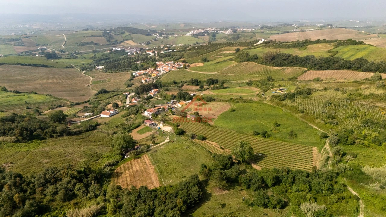 Terreno para Venda em Dois Portos e Runa Foto 20
