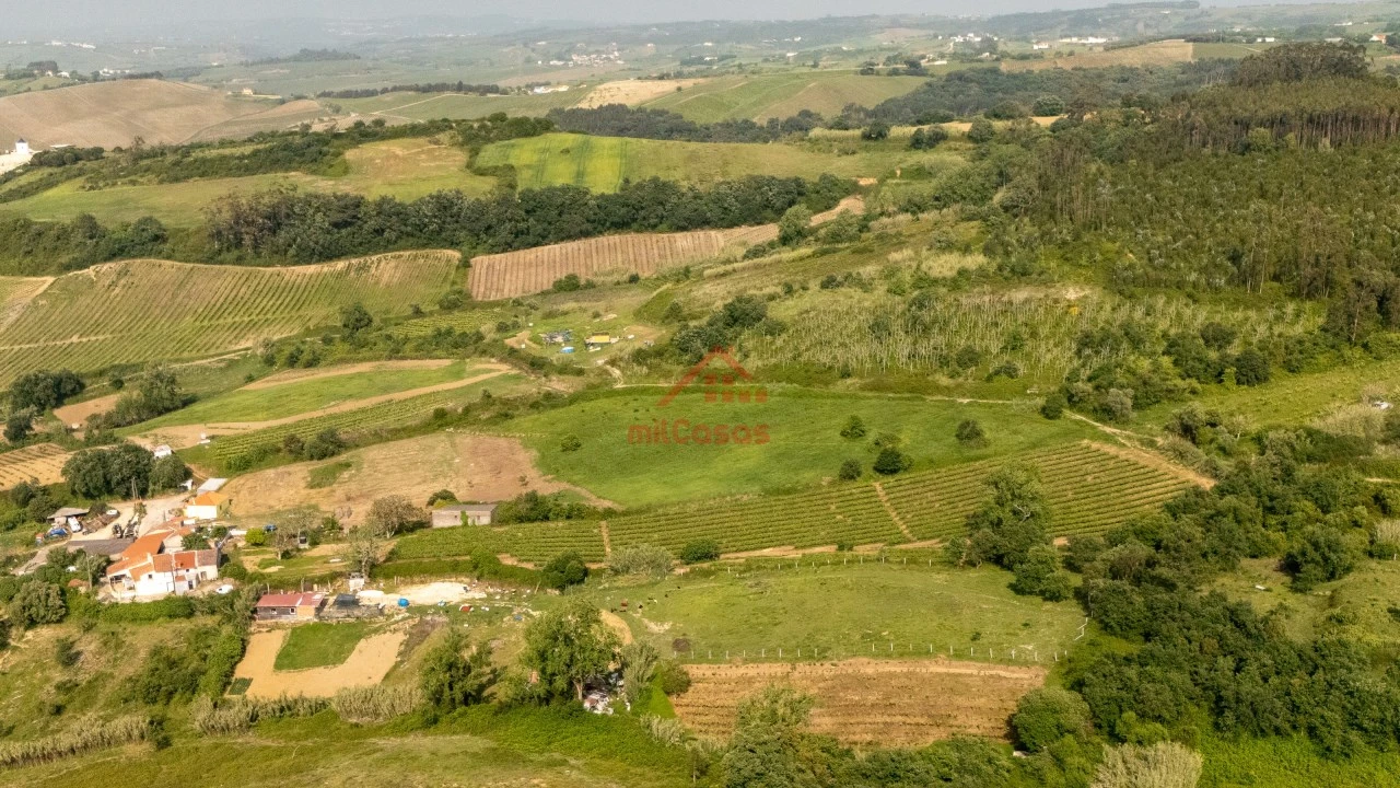 Terreno para Venda em Dois Portos e Runa Foto 22