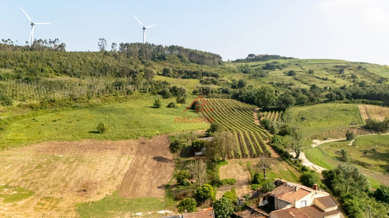 Terreno para Venda em Dois Portos e Runa Foto 25