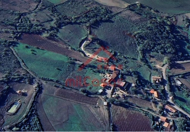 Terreno para Venda em Dois Portos e Runa