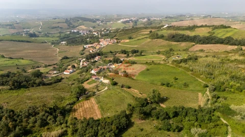 Terreno para Venda em Dois Portos e Runa
