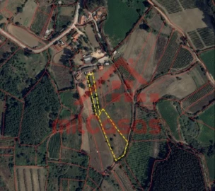 Terreno para Venda em Dois Portos e Runa