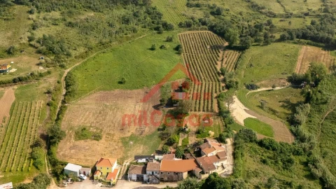 Terreno para Venda em Dois Portos e Runa