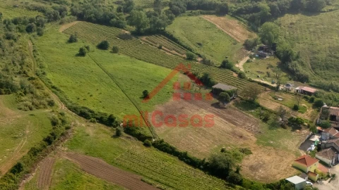 Terreno para Venda em Dois Portos e Runa