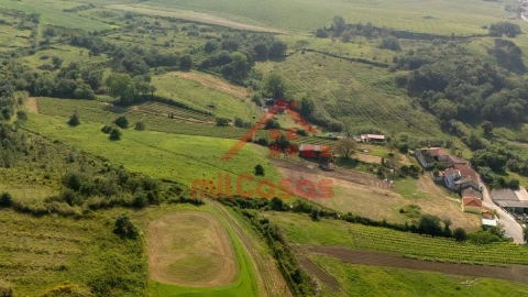 Terreno para Venda em Dois Portos e Runa