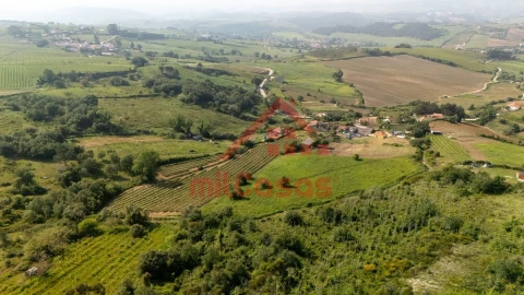 Terreno para Venda em Dois Portos e Runa
