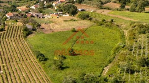Terreno para Venda em Dois Portos e Runa