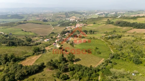 Terreno para Venda em Dois Portos e Runa