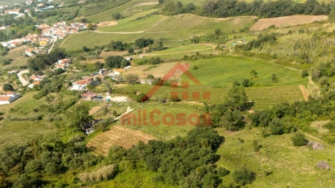 Terreno para Venda em Dois Portos e Runa