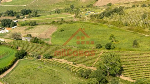 Terreno para Venda em Dois Portos e Runa