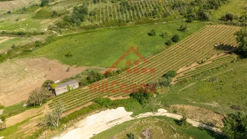 Terreno para Venda em Dois Portos e Runa