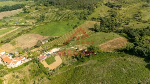 Terreno para Venda em Dois Portos e Runa
