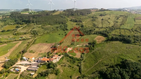 Terreno para Venda em Dois Portos e Runa