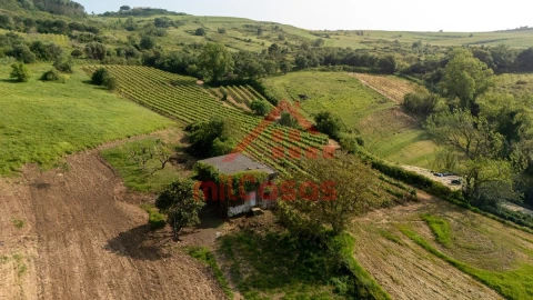 Terreno para Venda em Dois Portos e Runa