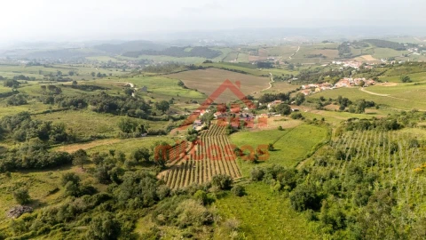 Terreno para Venda em Dois Portos e Runa