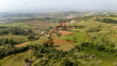 Terreno para Venda em Dois Portos e Runa