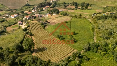 Terreno para Venda em Dois Portos e Runa