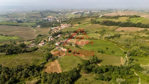 Terreno para Venda em Dois Portos e Runa