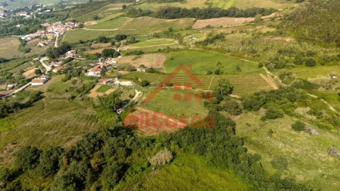 Terreno para Venda em Dois Portos e Runa