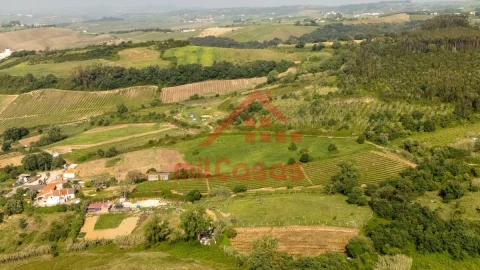 Terreno para Venda em Dois Portos e Runa