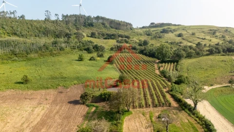 Terreno para Venda em Dois Portos e Runa