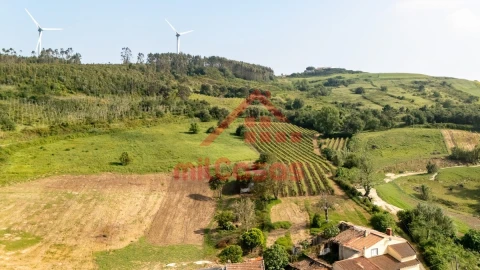 Terreno para Venda em Dois Portos e Runa