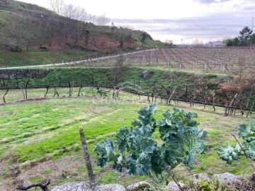 Terreno Agricola ou Rústico para Venda em Campelo e Ovil