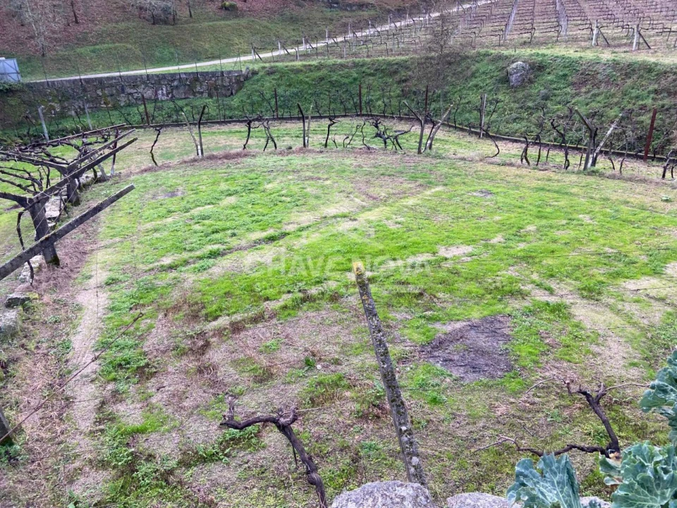 Terreno Agricola ou Rústico para Venda em Campelo e Ovil Foto 3