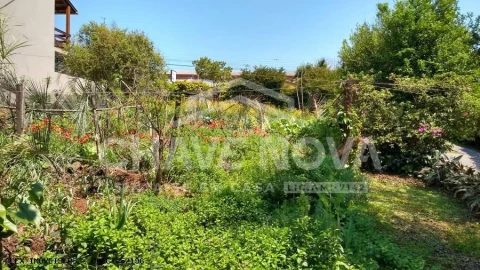 Terreno Agricola ou Rústico para Venda em Campelo e Ovil