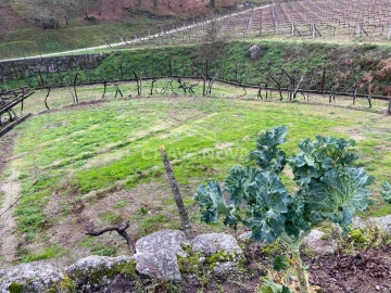 Terreno Agricola ou Rústico para Venda em Campelo e Ovil