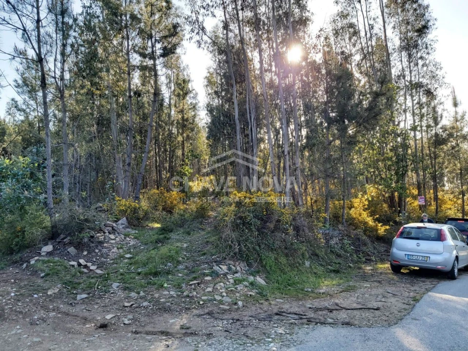 Terreno Agricola ou Rústico para Venda em Nespereira Foto 2