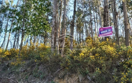 Terreno Agricola ou Rústico para Venda em Nespereira