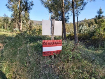Terreno Agricola ou Rústico para Venda em Nespereira