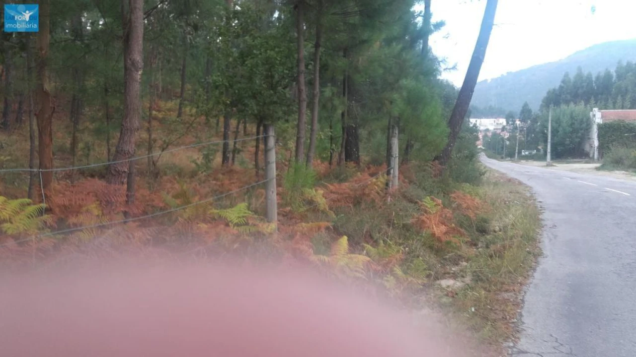Terreno Agricola ou Rústico para Venda em Lanhoso Foto 4