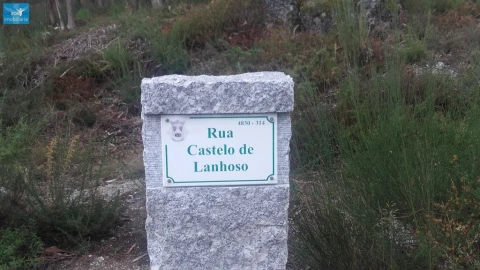 Terreno Agricola ou Rústico para Venda em Lanhoso