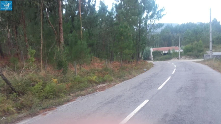 Terreno Agricola ou Rústico para Venda em Lanhoso