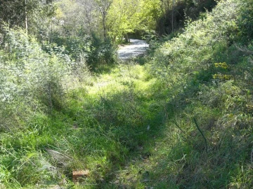 Terreno para Venda em Caniçada e Soengas
