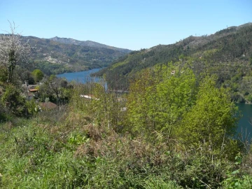 Terreno para Venda em Caniçada e Soengas